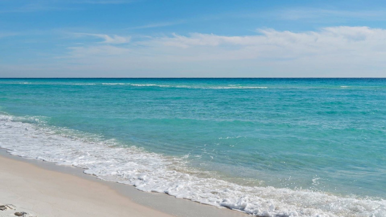 Photo of Others in Dune Allen Beach