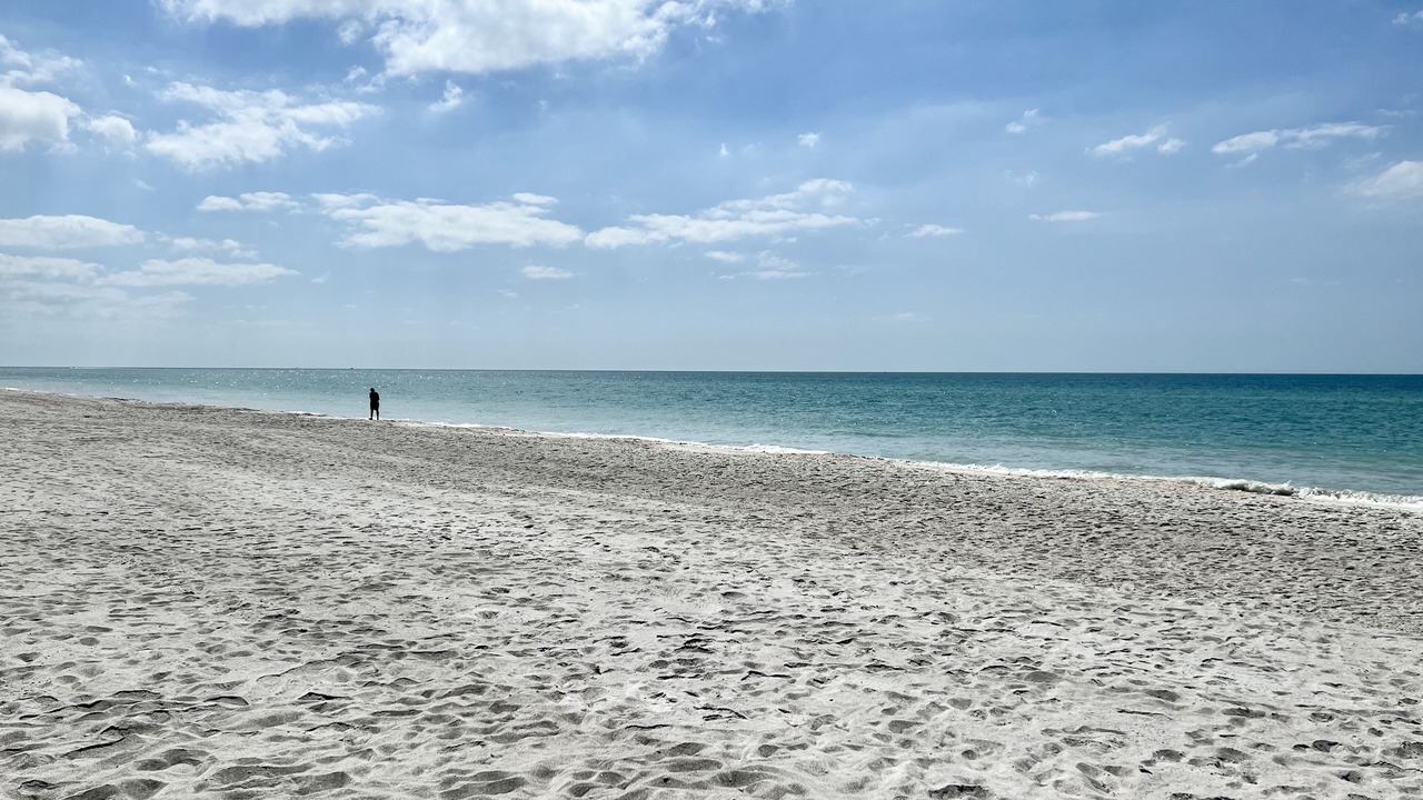 Photo of Others in Longboat Key