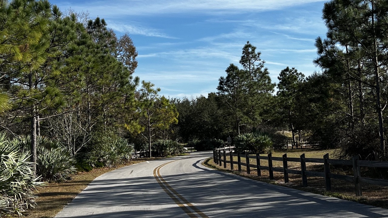 Photo of Outdoor in Candler