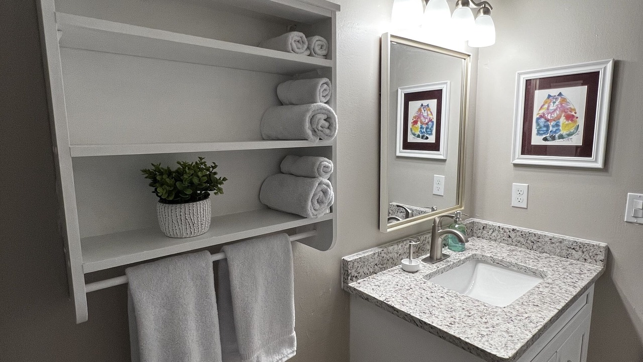 Photo of Bathroom in Candler