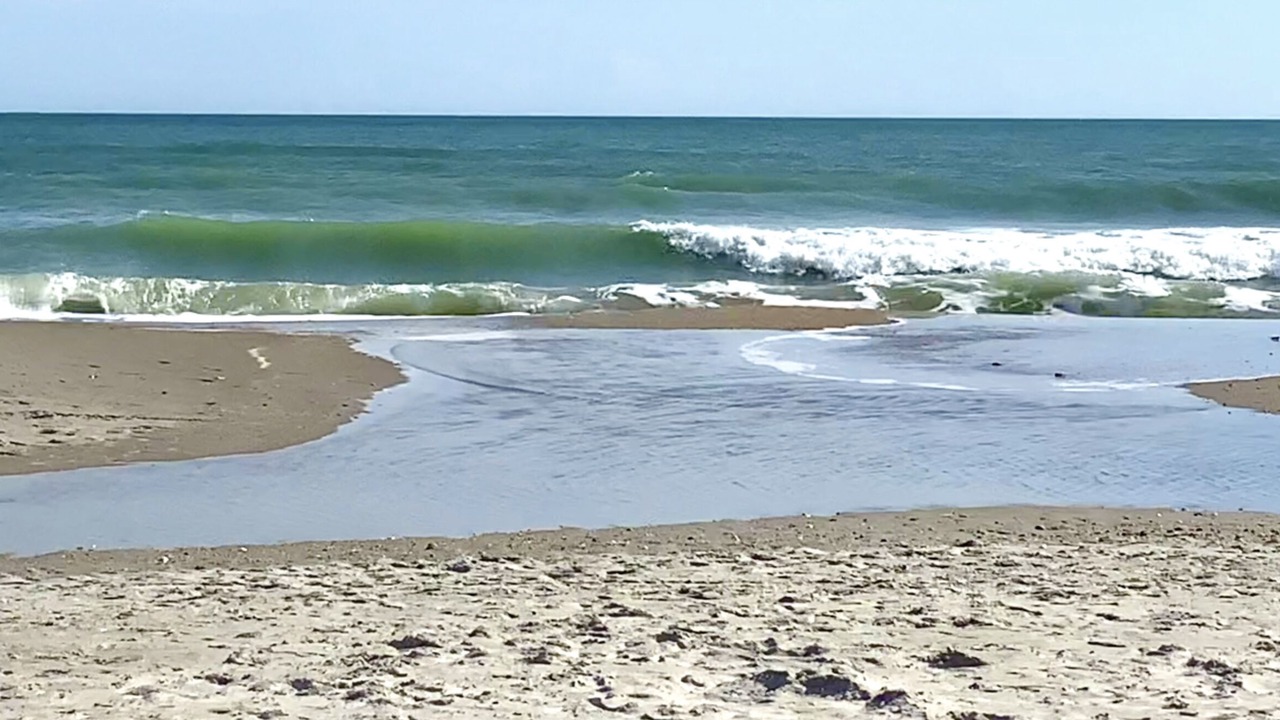 Photo of Others in Port Canaveral