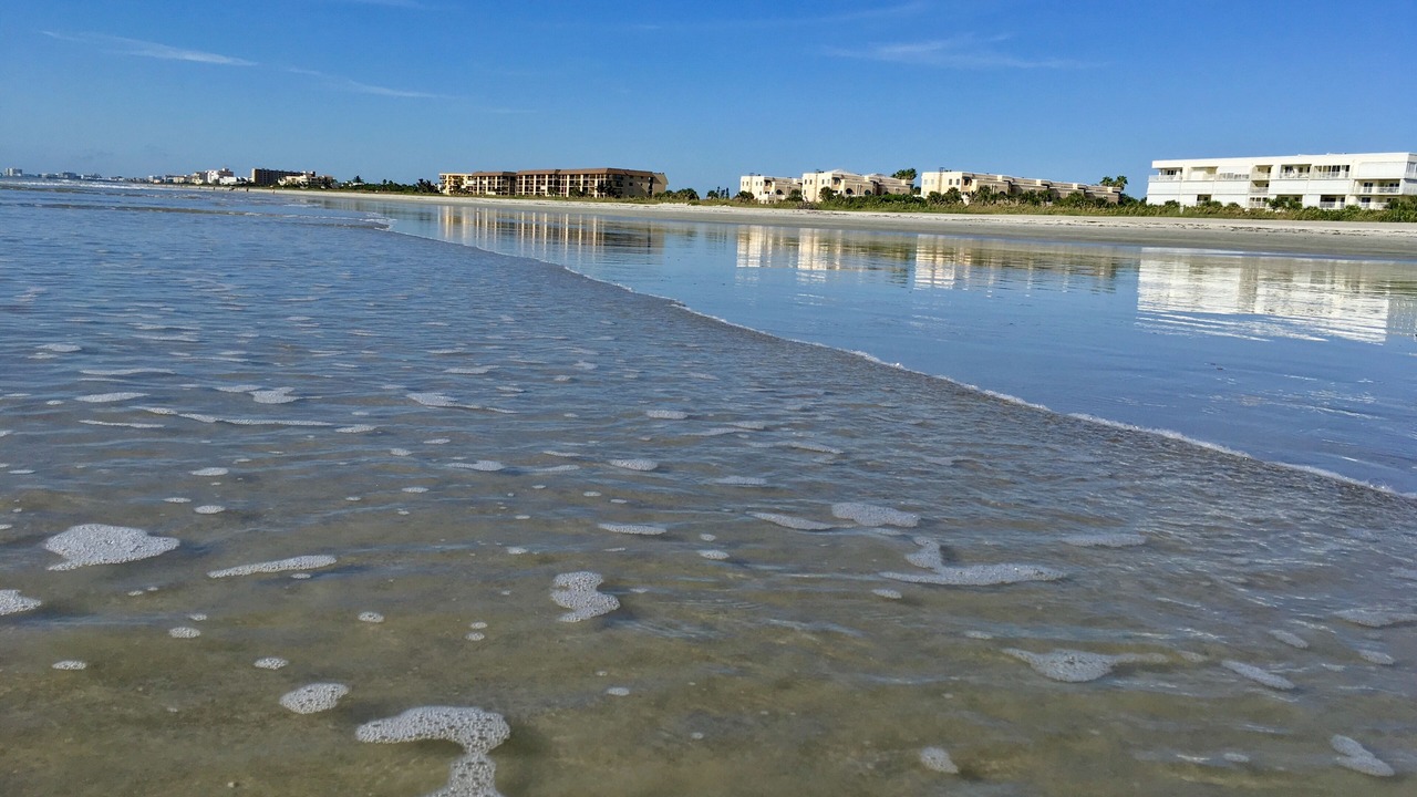 Photo of Others in Port Canaveral