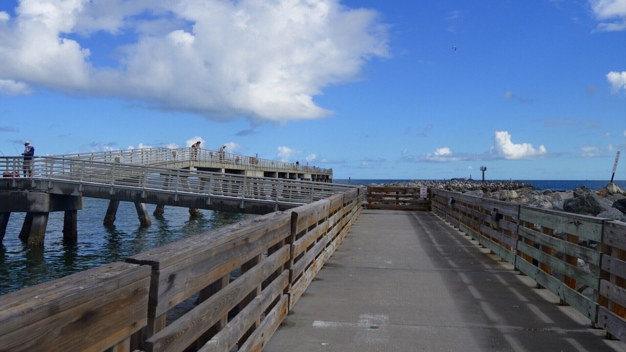 Photo of Others in Port Canaveral
