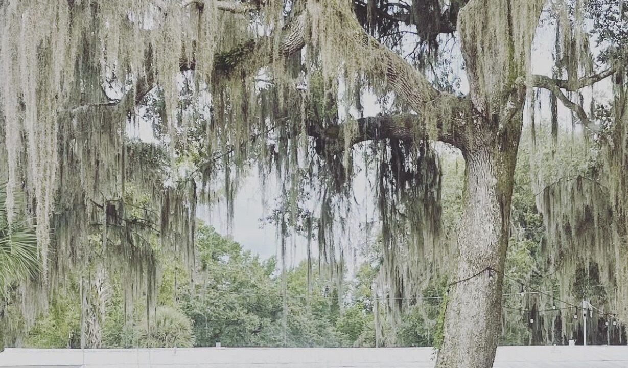 Photo of Outdoor in Satsuma