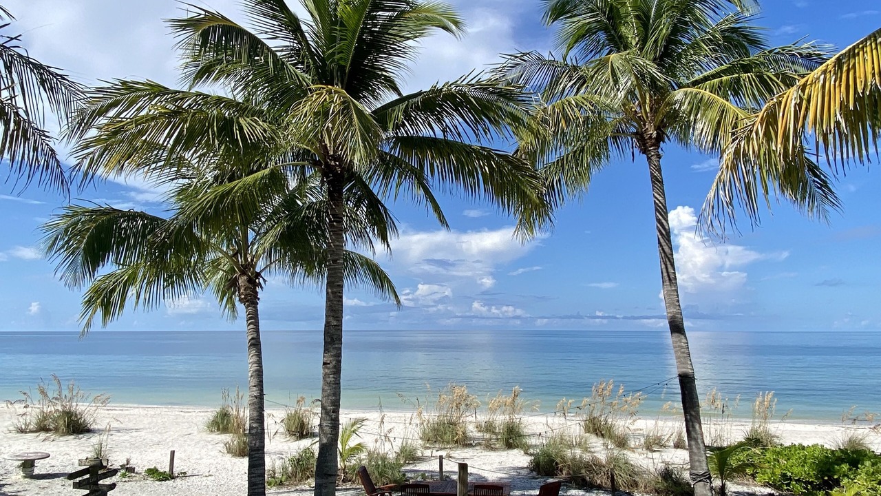 Photo of Others in Bonita Springs