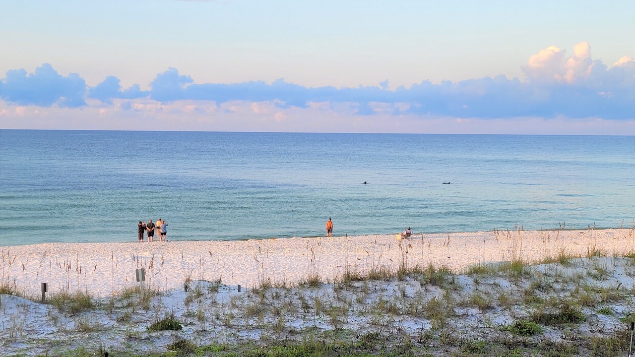 Photo of Others in Fort Walton Beach