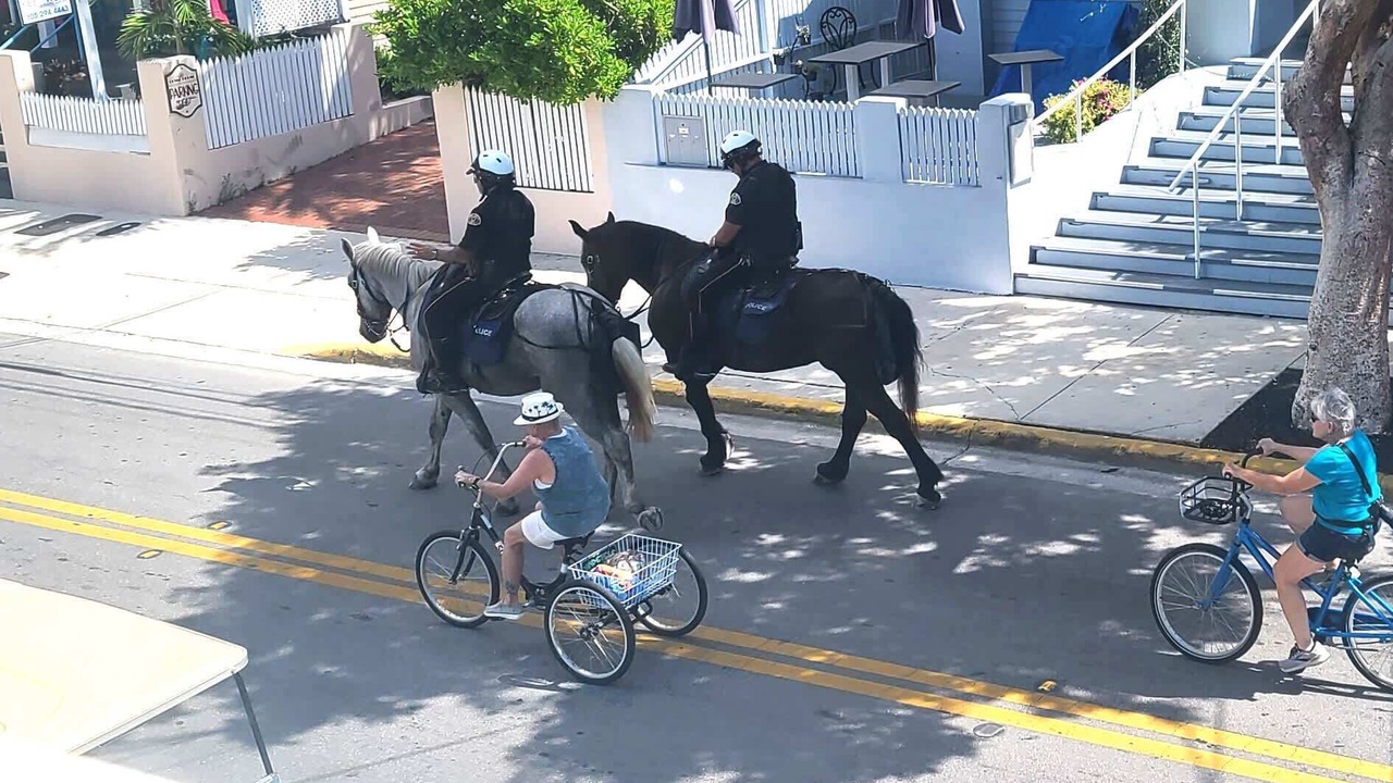 Photo of Others in Downtown