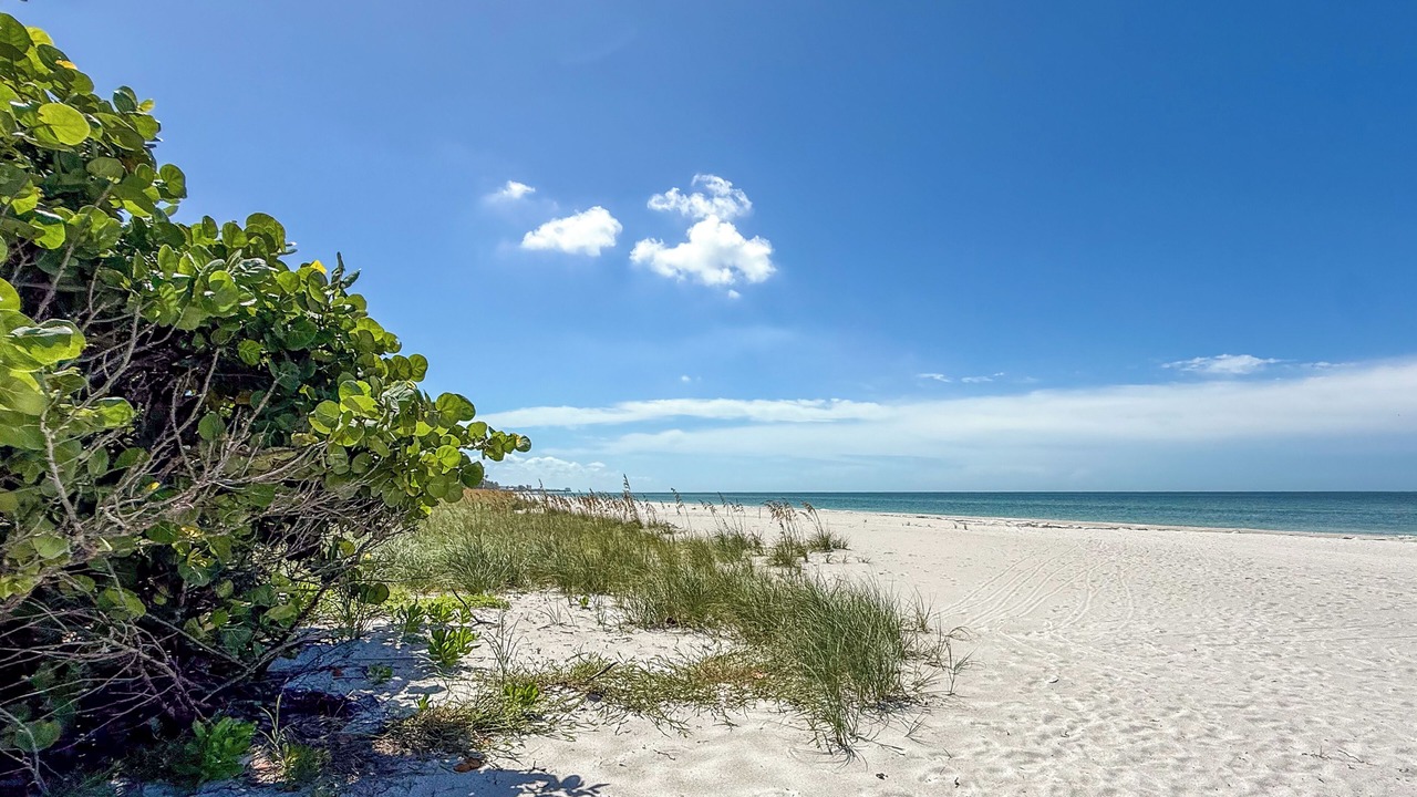 Photo of Others in Whitney Beach