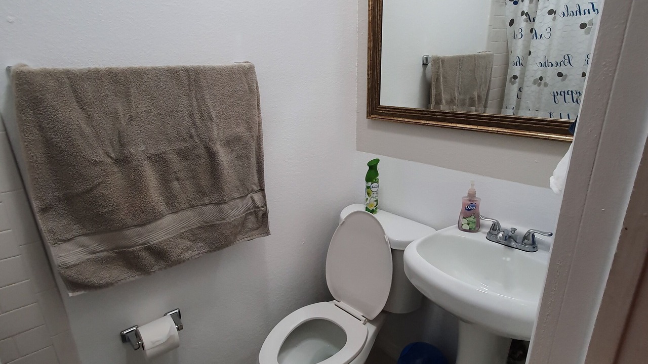 Photo of Bathroom in Brandon
