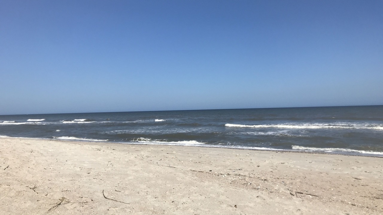 Photo of Others in Ocean Cay