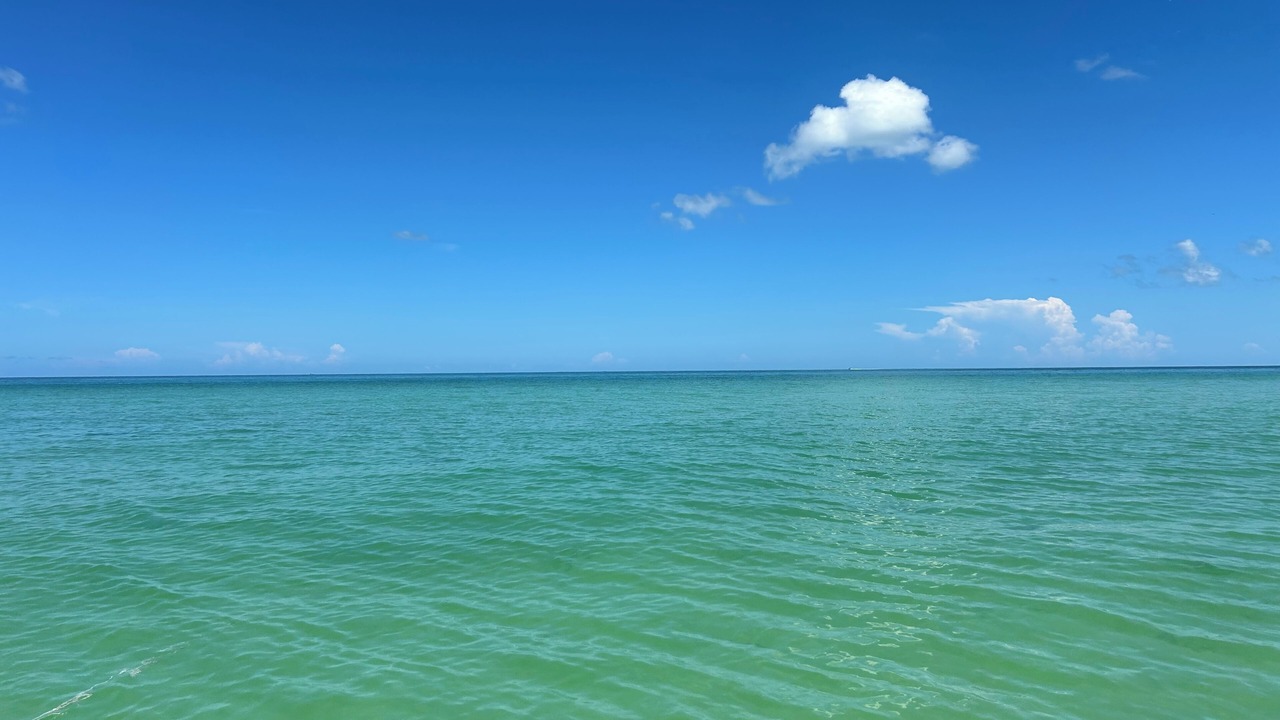 Photo of Others in Crystal Beach