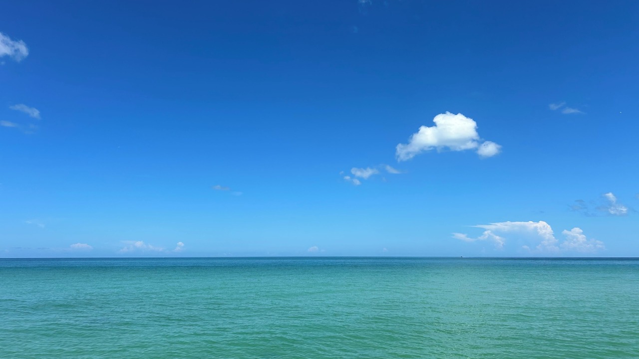Photo of Others in Crystal Beach