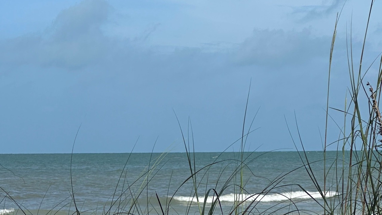 Photo of Others in Indian Shores