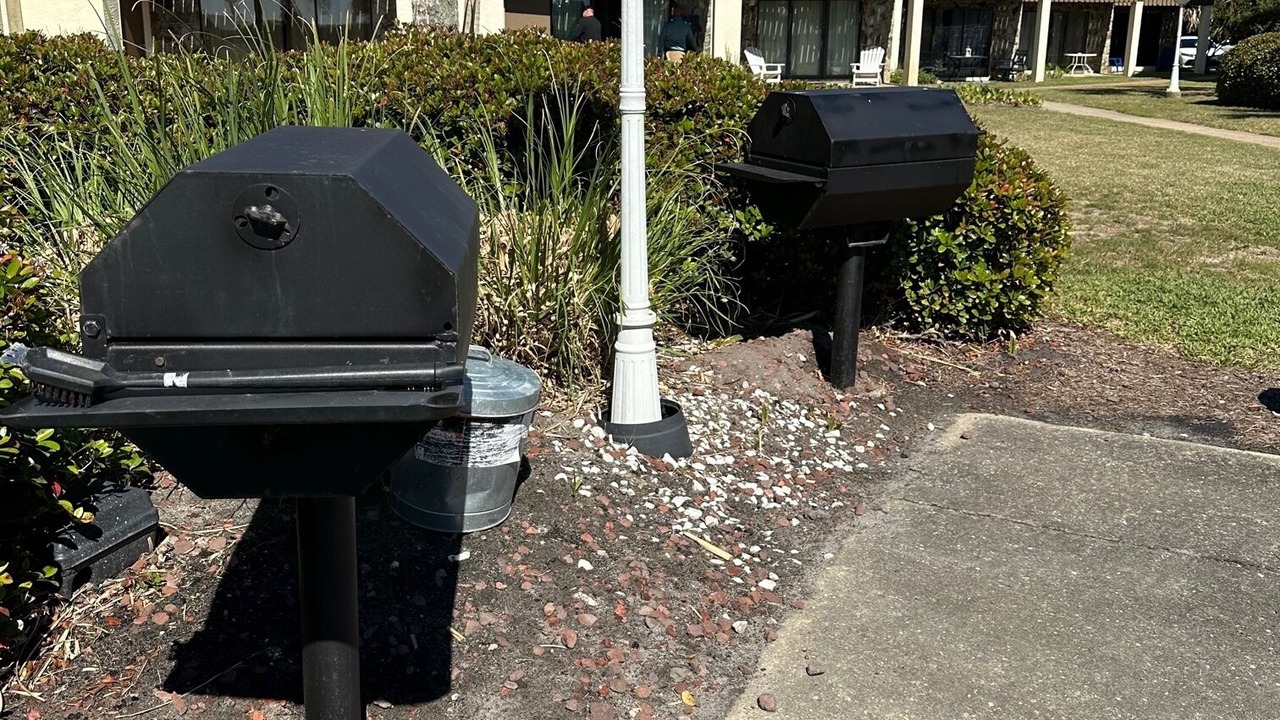Photo of Outdoor in Avalon Beach Estates