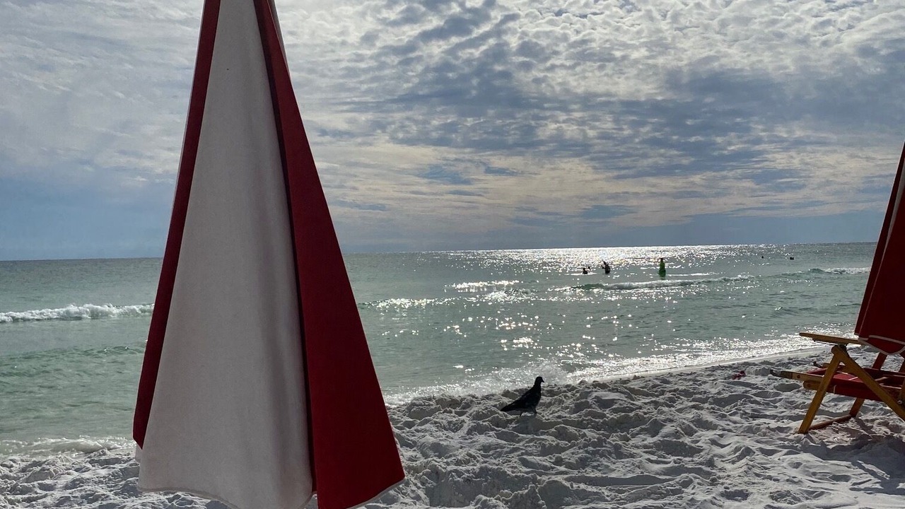 Photo of Others in Avalon Beach Estates
