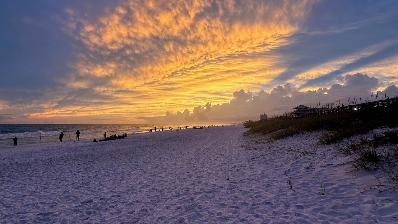 Photo of Others in Avalon Beach Estates