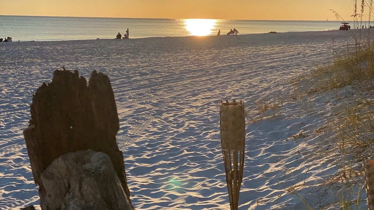 Photo of Others in Avalon Beach Estates