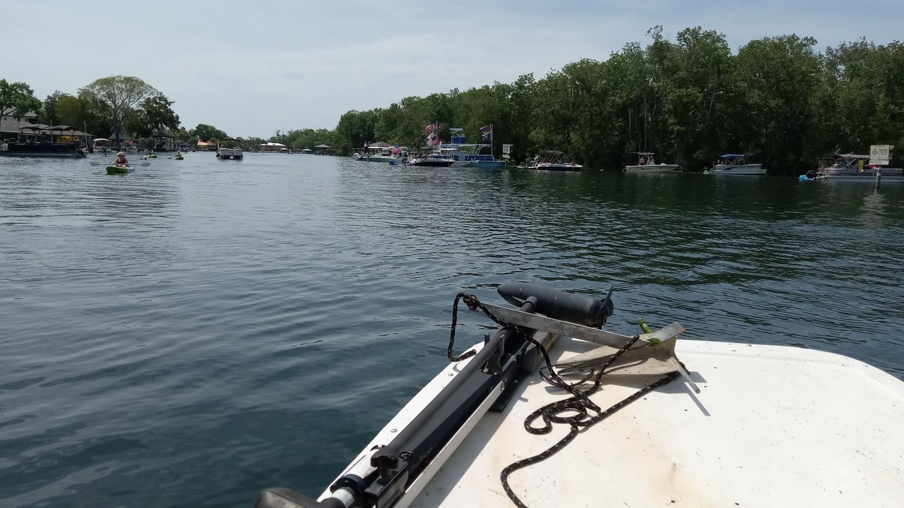 Photo of Others in Homosassa