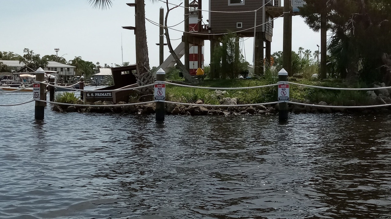 Photo of Others in Homosassa