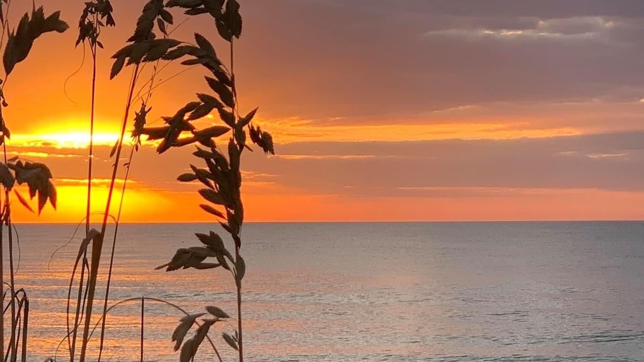 Photo of Others in Nokomis