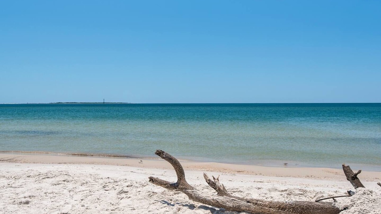 Photo of Others in Port St. Joe