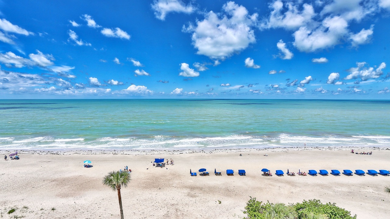 Photo of Others in Indian Shores