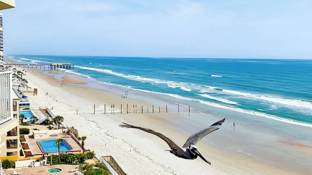 Photo of Patio Balcony in Daytona Beach Shores