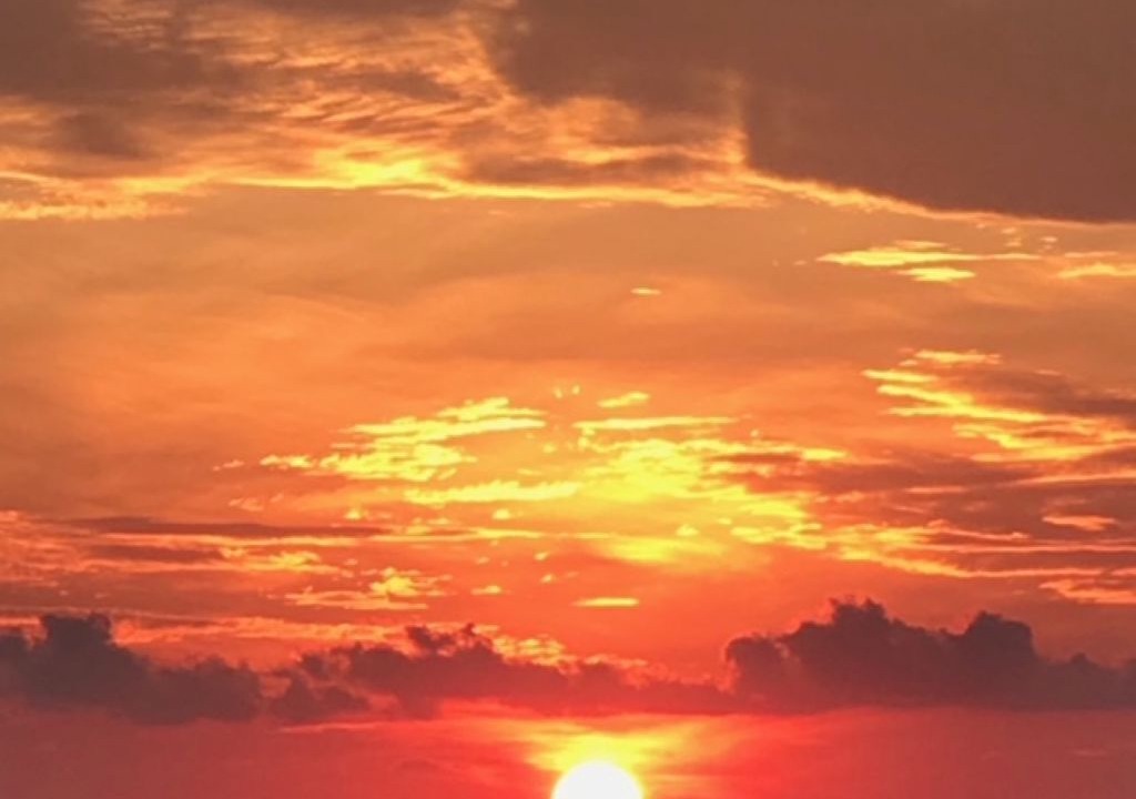 Photo of Others in Ormond-by-the-Sea