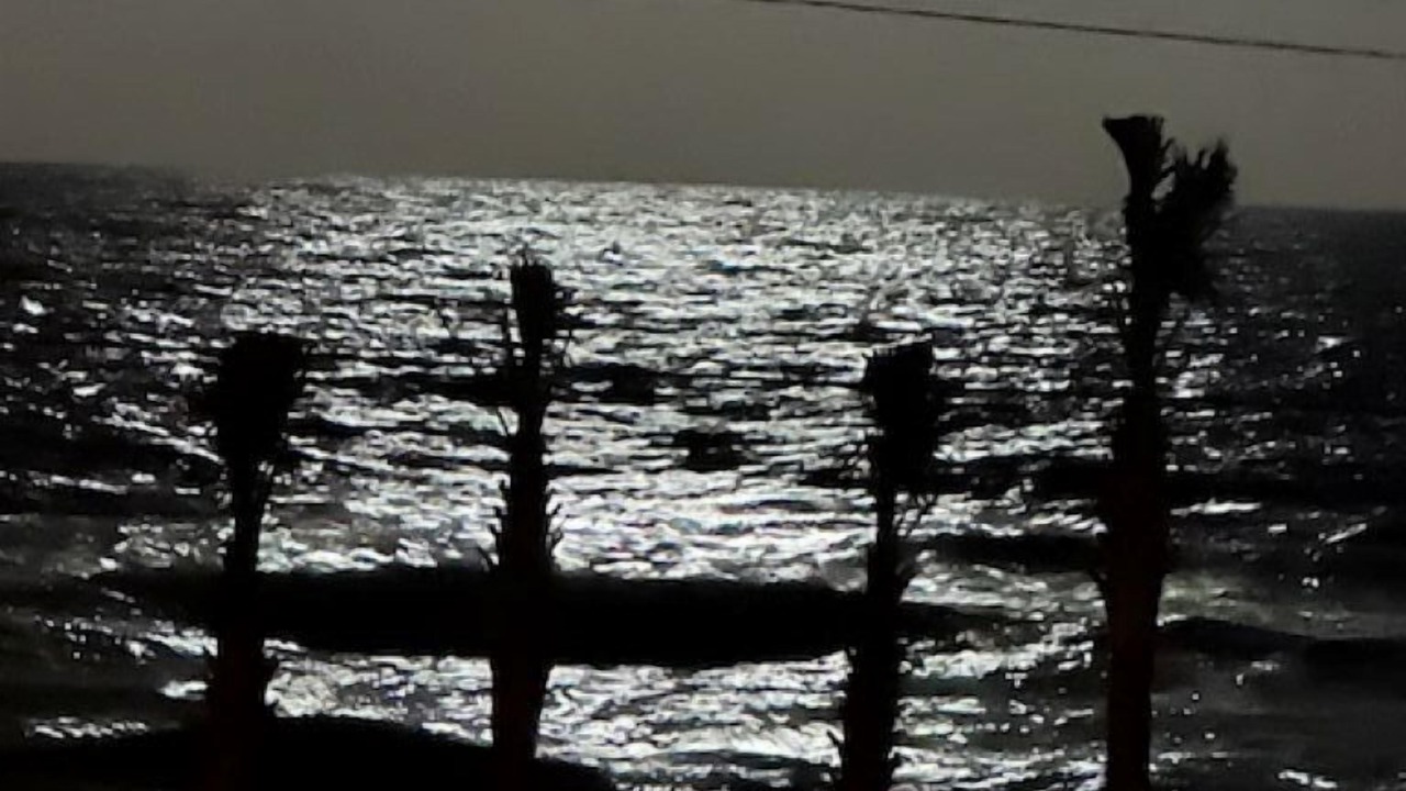 Photo of Others in Ormond-by-the-Sea