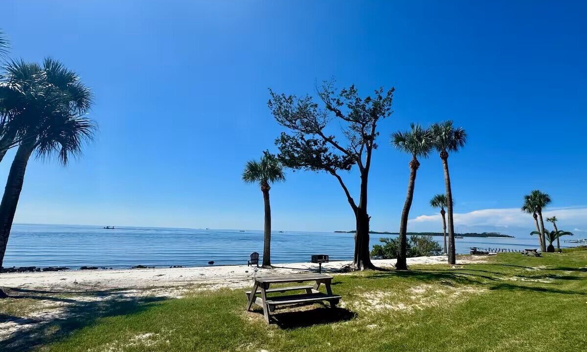 Photo of Others in Cedar Key