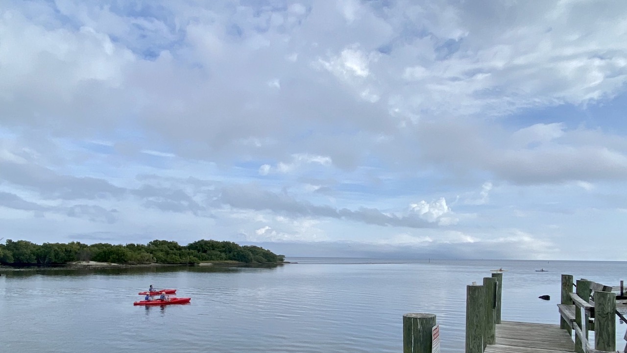 Photo of Others in Cedar Key