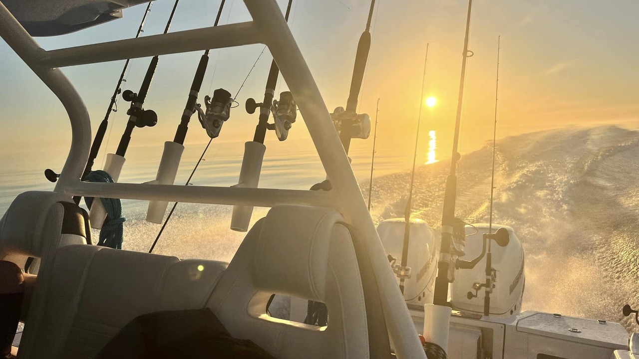 Photo of Others in Crystal River