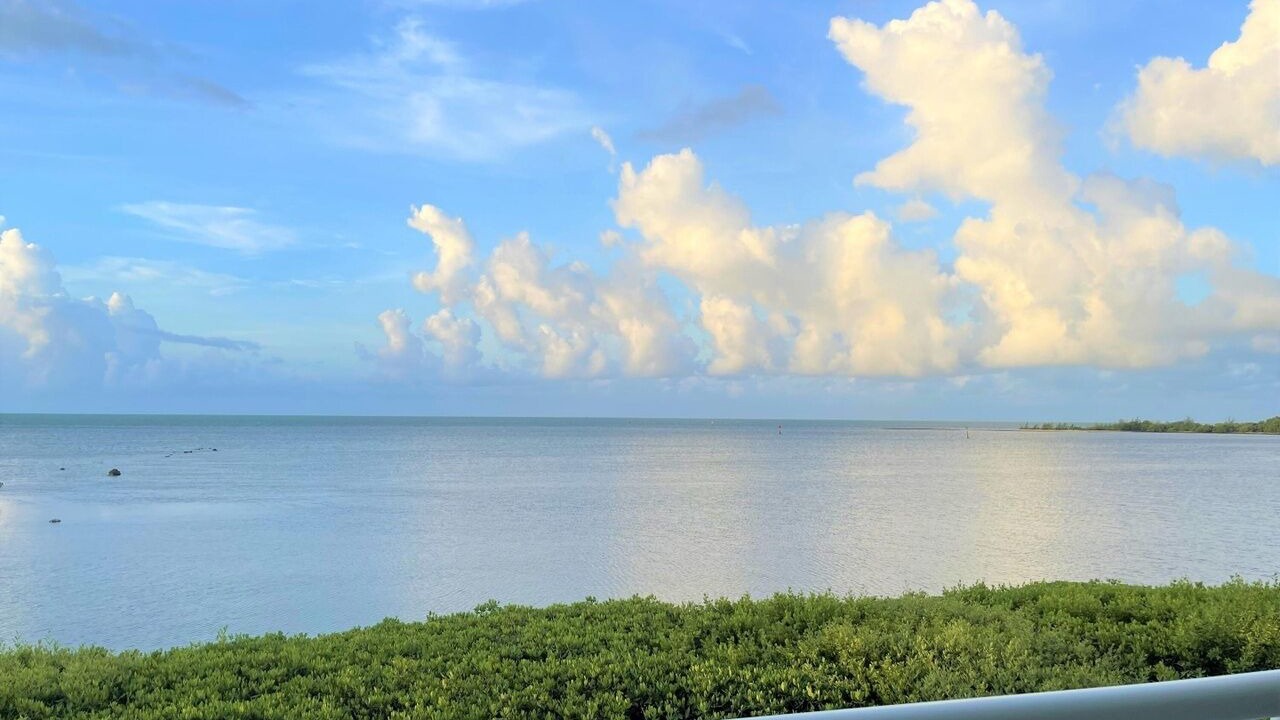 Photo of Others in Key West