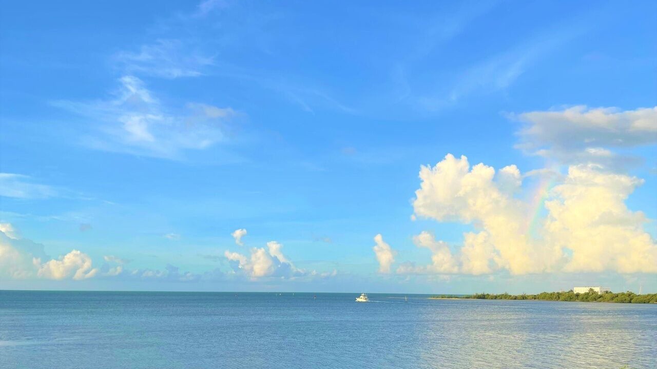 Photo of Others in Key West