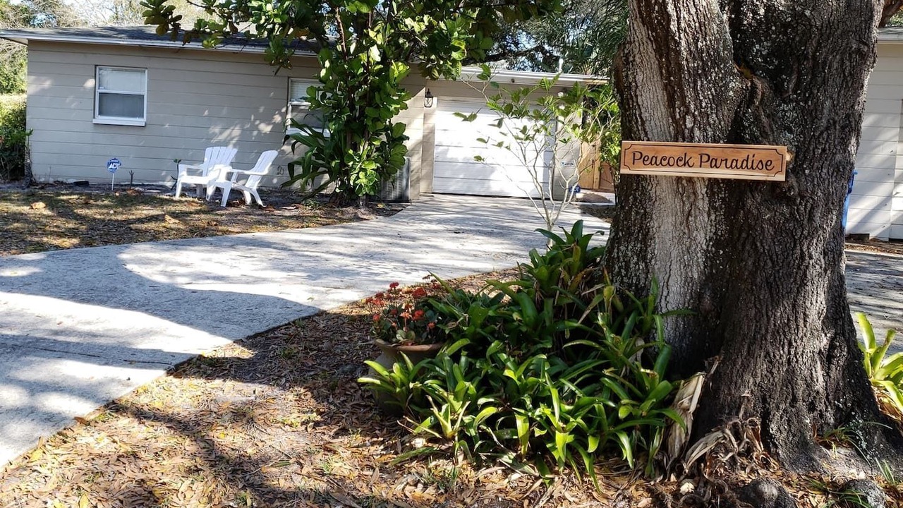 Photo of Outdoor in Disston Heights