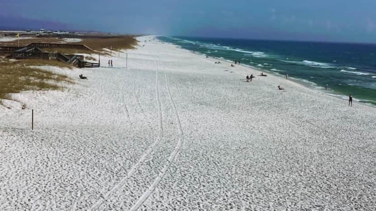 Photo of Others in Navarre