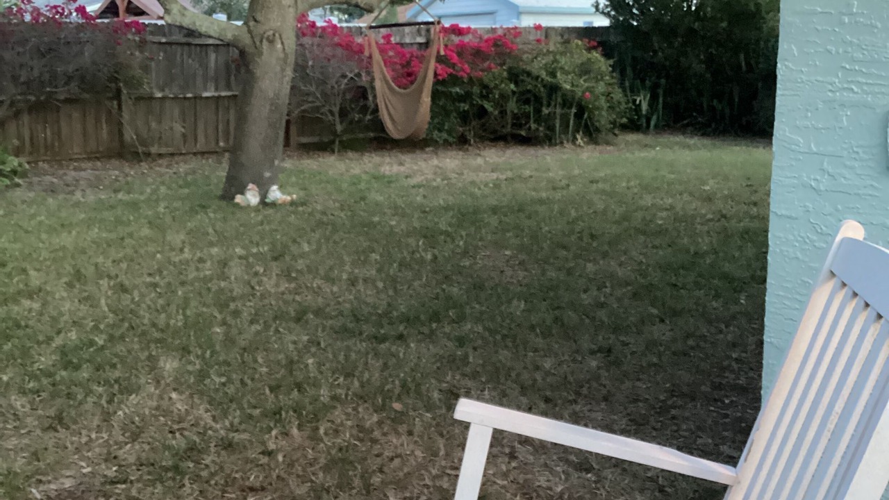 Photo of Outdoor in Colin Park