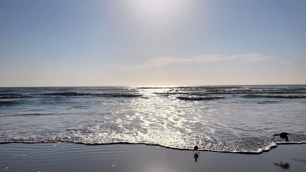 Photo of Others in Daytona Beach Shores