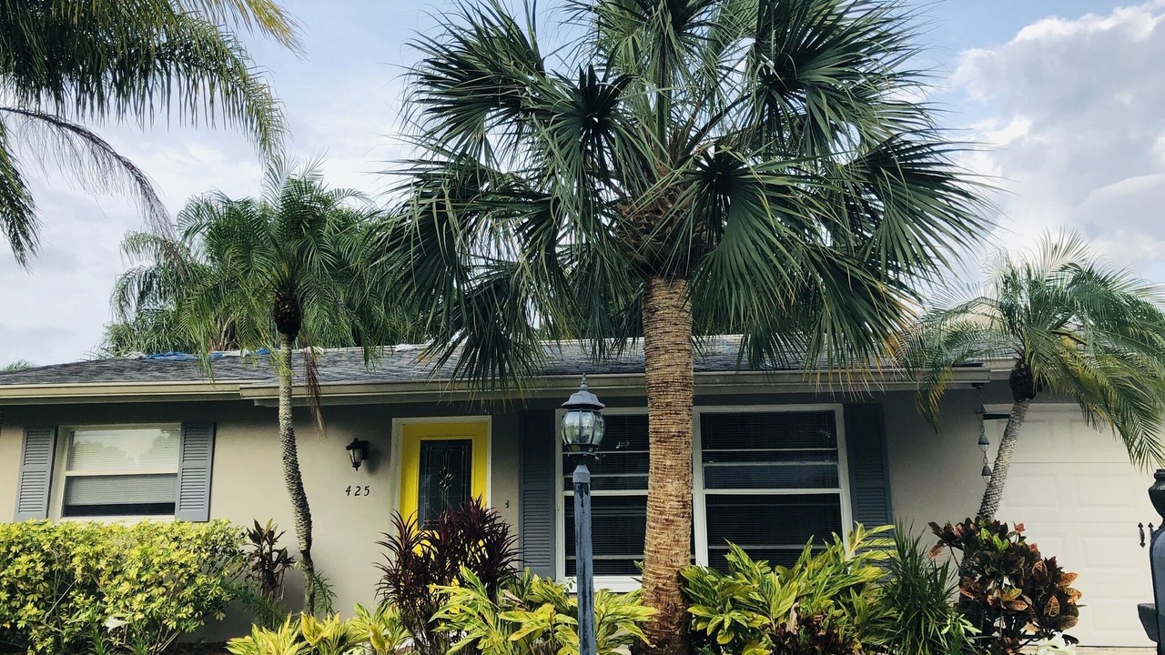 Photo of Outdoor in Oldsmar