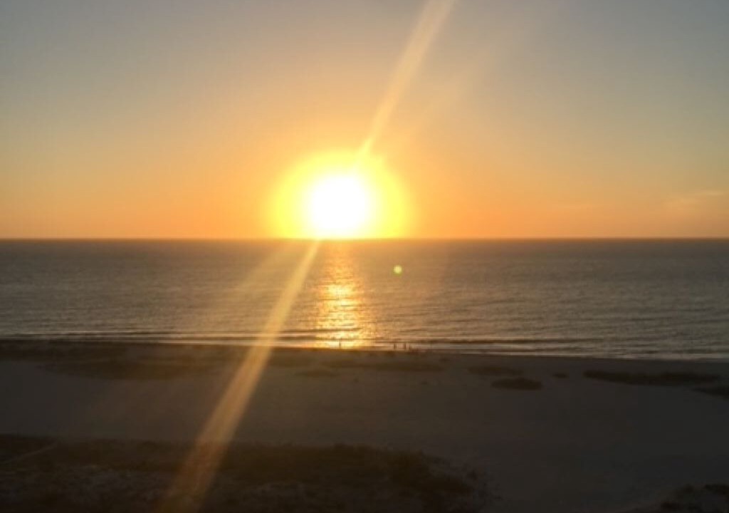 Photo of Others in Sand Key