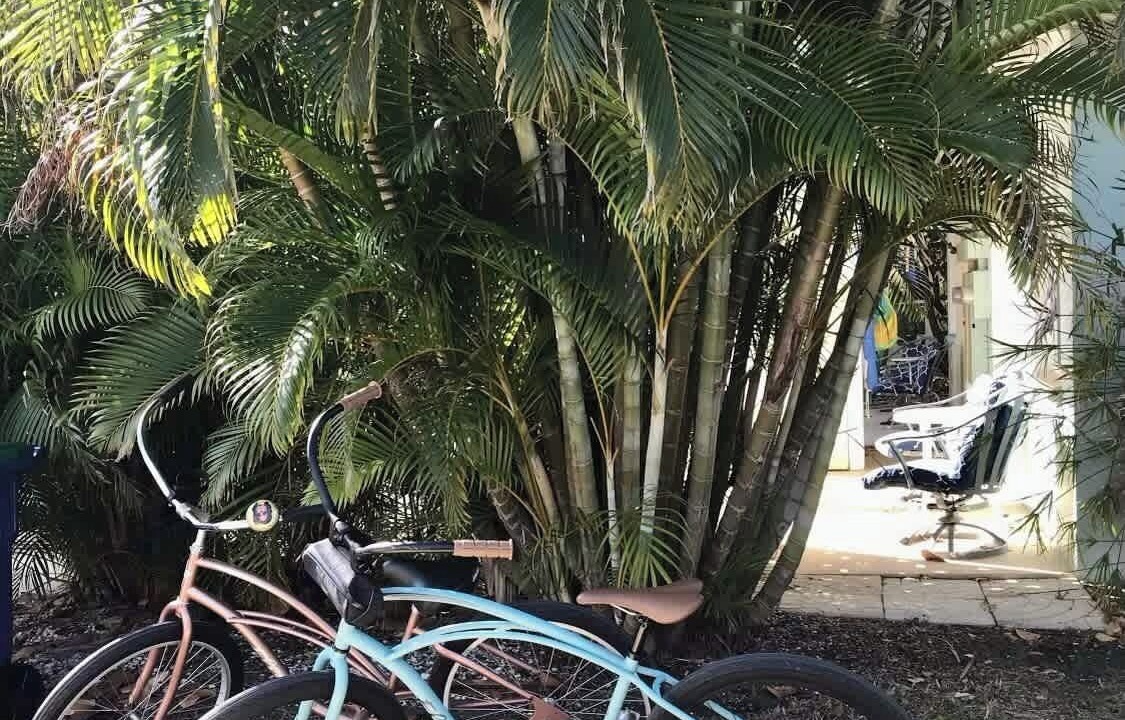 Photo of Others in Indian Rocks Beach