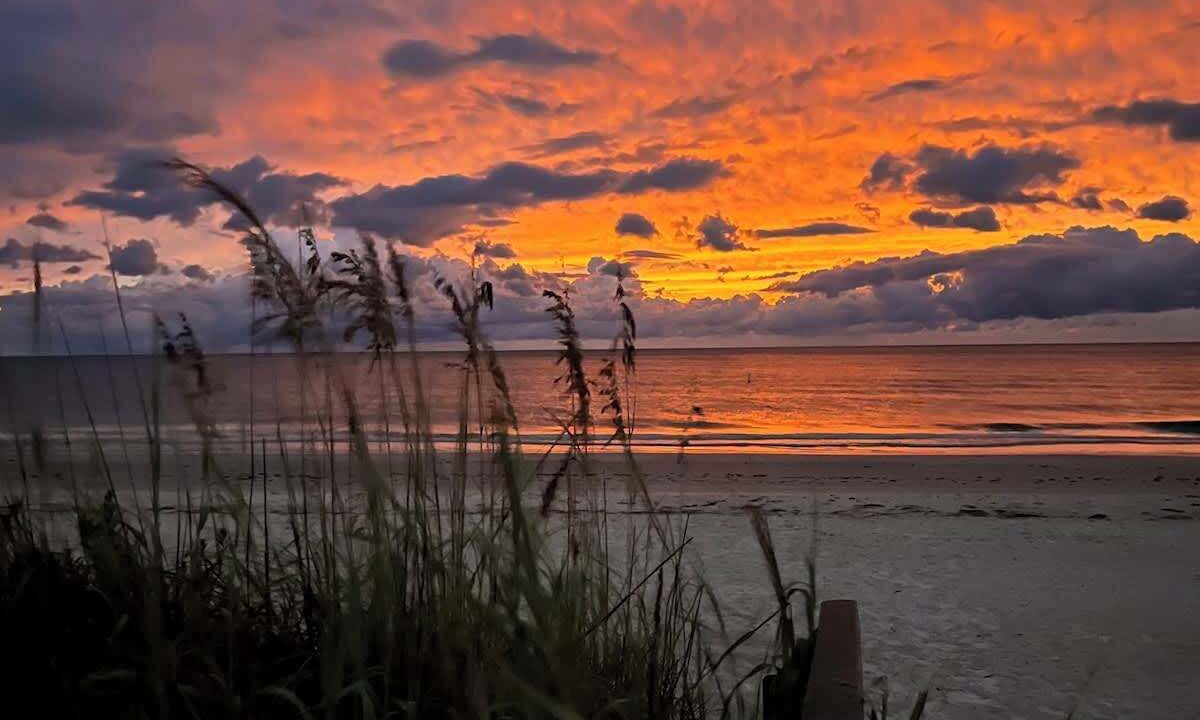 Photo of Others in Indian Rocks Beach