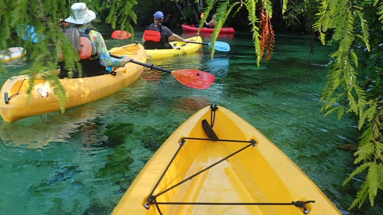 Photo of Outdoor in Weeki Wachee Gardens