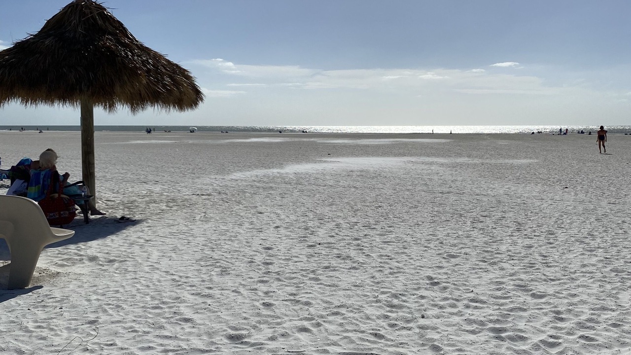 Photo of Others in Marco Island