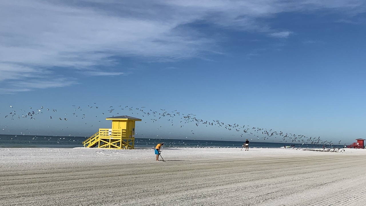 Photo of Others in Sarasota