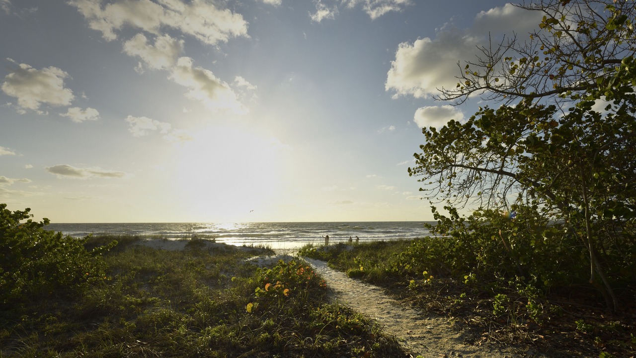 Photo of Others in Indian Rocks Beach