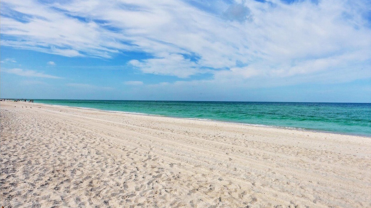 Photo of Others in Bradenton Beach