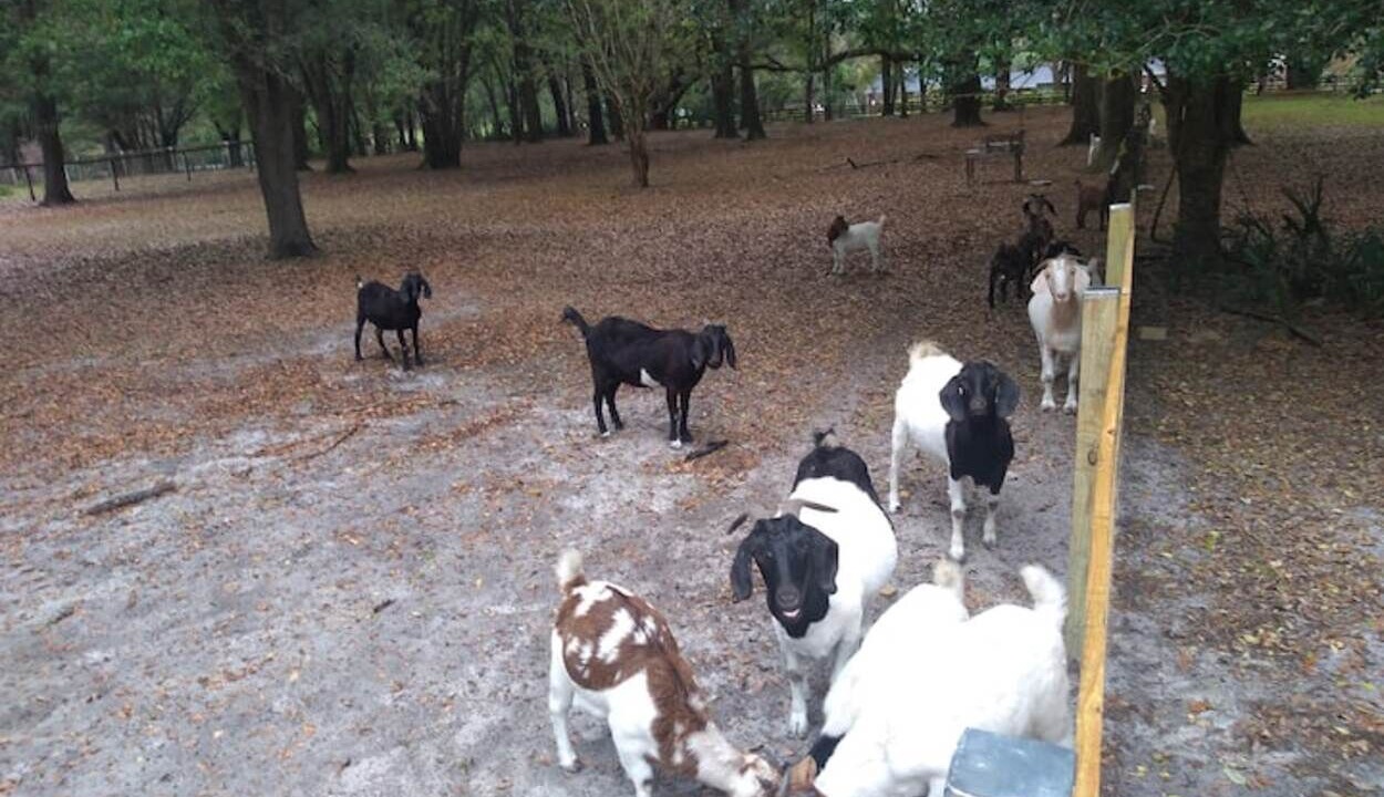 Photo of Outdoor in Plymouth