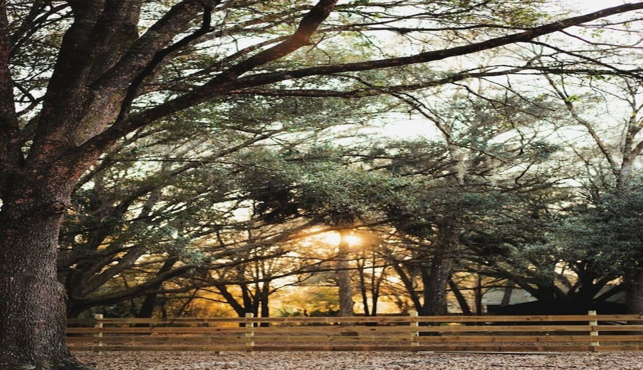 Photo of Outdoor in Plymouth