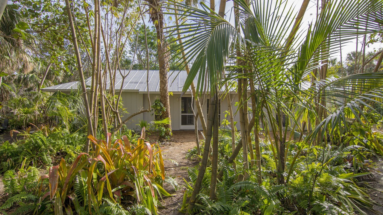 Photo of Outdoor in South Beach